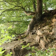 Fels Hagenstein-Route