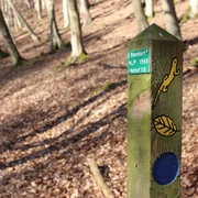 Heimbach Route