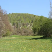 Quernst Talgang