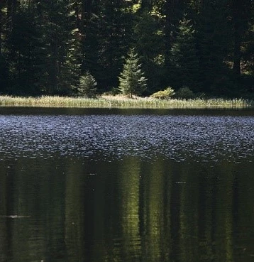 Buhlbachsee