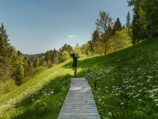 Kulinarik-Spezielle Lokalitaeten-Jurtendorf Luthern Bad-Willisau-Blog-Laila Bosco-WT-31.jpg