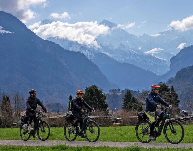 outdoor-switzerland-scenic-e-bike-tour-unterwegs-wiese.jpg