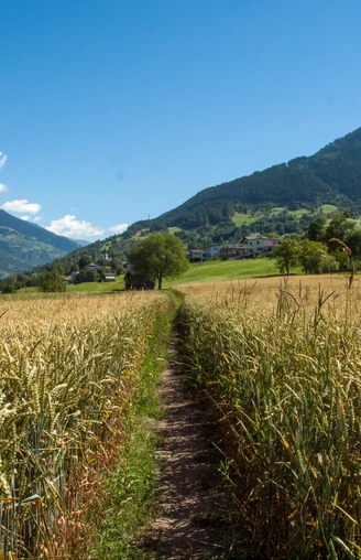 Achera Biela Naturlehrpfad