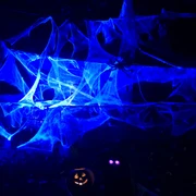 Halloween Im Zoo Stralsund