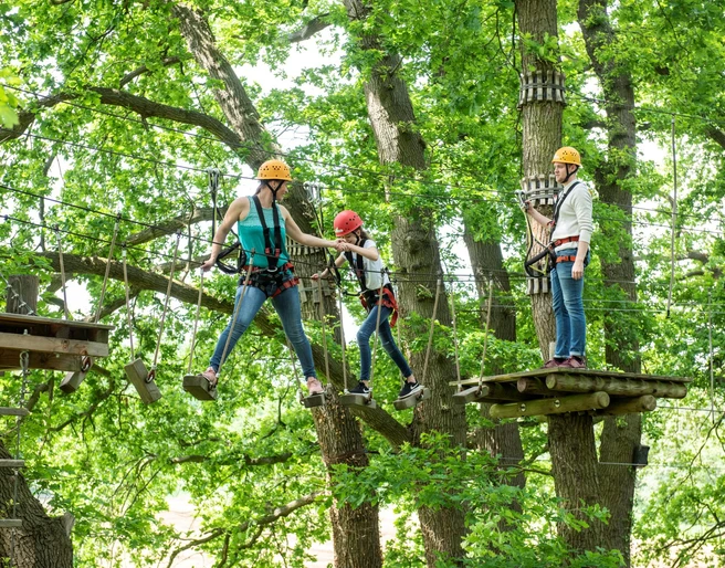 Kletterpark-Mardorf_dsc_7126_klein.jpg Familie auf Kletterelement