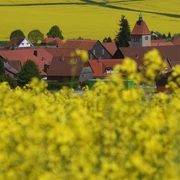 heckenbeck_raps(c) Stadt Bad Gandersheim.jpg