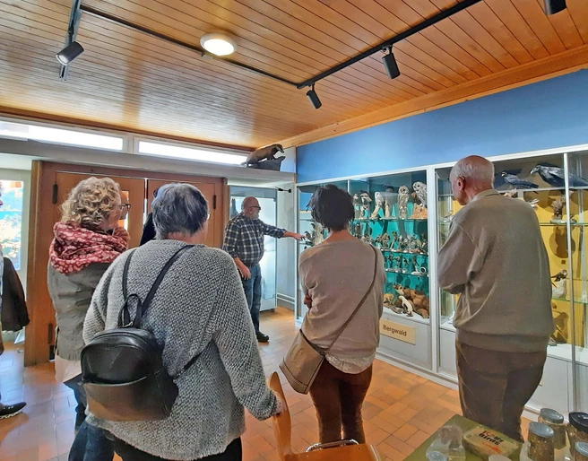 Guided tour of the Diemtigtal bird world exhibition Erwachsene stehen im Halbkreis vor einer Glasvitrine und lauschen den AusführungenAdults stand in a semi-circle in front of a glass display case and listen to the explanationsDes adultes se tiennent en demi-cercle devant une vitrine en verre et écoutent les explications