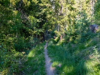 Vitaparcours Ried-Brig