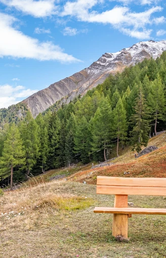 Neuer (2019) Sitzbank im Mattalpji
