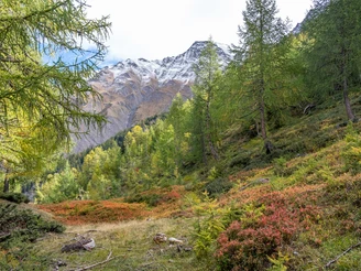 Vor dem Mattalpji Blick in den Tunnetschgraben