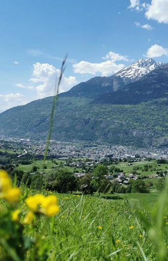 Blick auf Brig und das Rhonetal