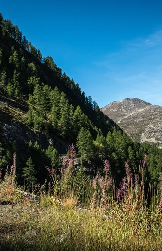 Alpenpässeweg mit Blick auf den Simplonpass