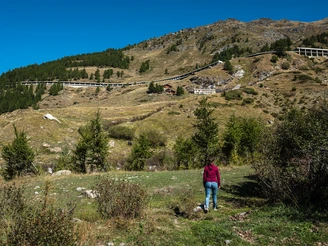 Tschiife mit Simplonpassstrasse
