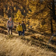 Wandern in Rothwald