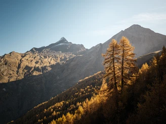 Bortelhorn und Furggubäumhorn