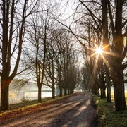 Decksteiner Pond Baumgesäumter Weg am Decksteiner WeiherTree-lined path at Decksteiner Weiher