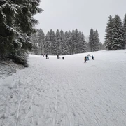 Rodelhang Waldpark Grünheide von unten