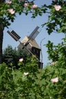 Birkmühle Birkmühle