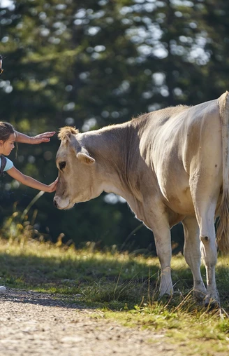 Mutter und Tochter begegnen auf dem Wanderweg einer Kuh