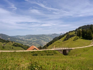 Der Weg führt durch die sommerliche Landschaft mit Blick auf verschiedene Alpbetriebe