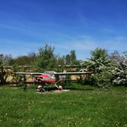 IMG-20250501-WA0003.jpg