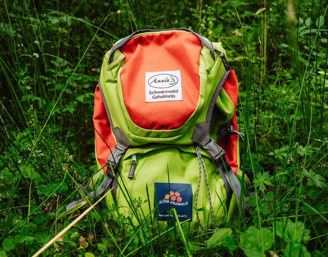 Annis Schwarzwald Geheimnis_1