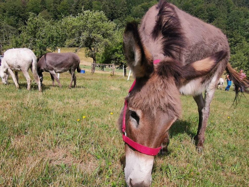 IMG_20230701_105029_edit_94966583692279