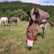 IMG_20230701_105029_edit_94966583692279