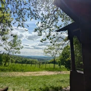 1Hamburger Hütte  Die Schutzhütte befindet sich am Waldrand, beim Waldgehege an der Hube.