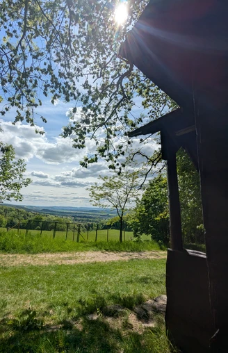 1Hamburger Hütte  Die Schutzhütte befindet sich am Waldrand, beim Waldgehege an der Hube.