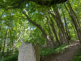 1Domeier Gedenkstein_Schutzhütte_Ausblick