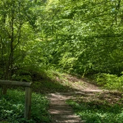 Rastplatz An den Teichen.jpg