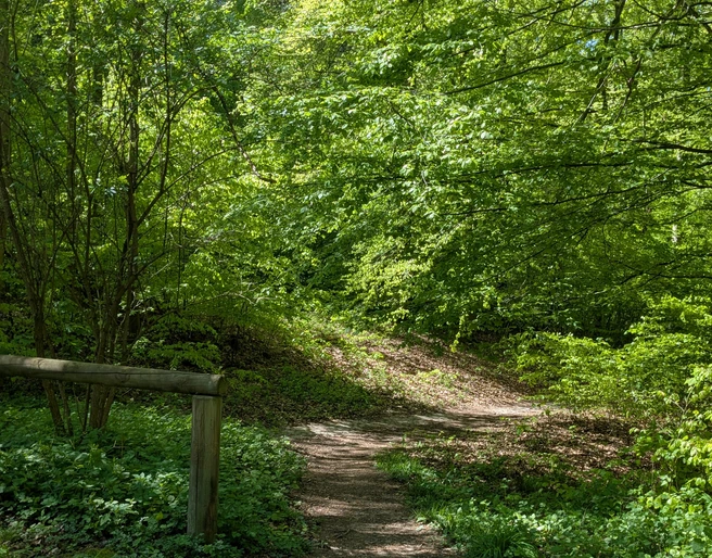 Rastplatz An den Teichen.jpg