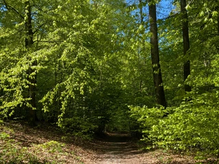 Rastplatz An den Teichen.jpg