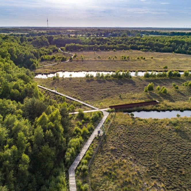 Das Emsland von oben – Esterweger Dose ©Emsland Tourismus GmbH (2).jpg