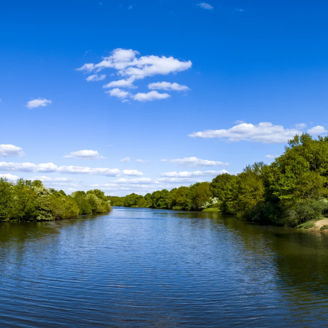 Das Emsland von oben – Borkener Paradies, Emslandschaft, Panorama ©Emsland Tourismus GmbH (3).jpg