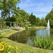 Bäckerwall, Frühjahr, Blumen