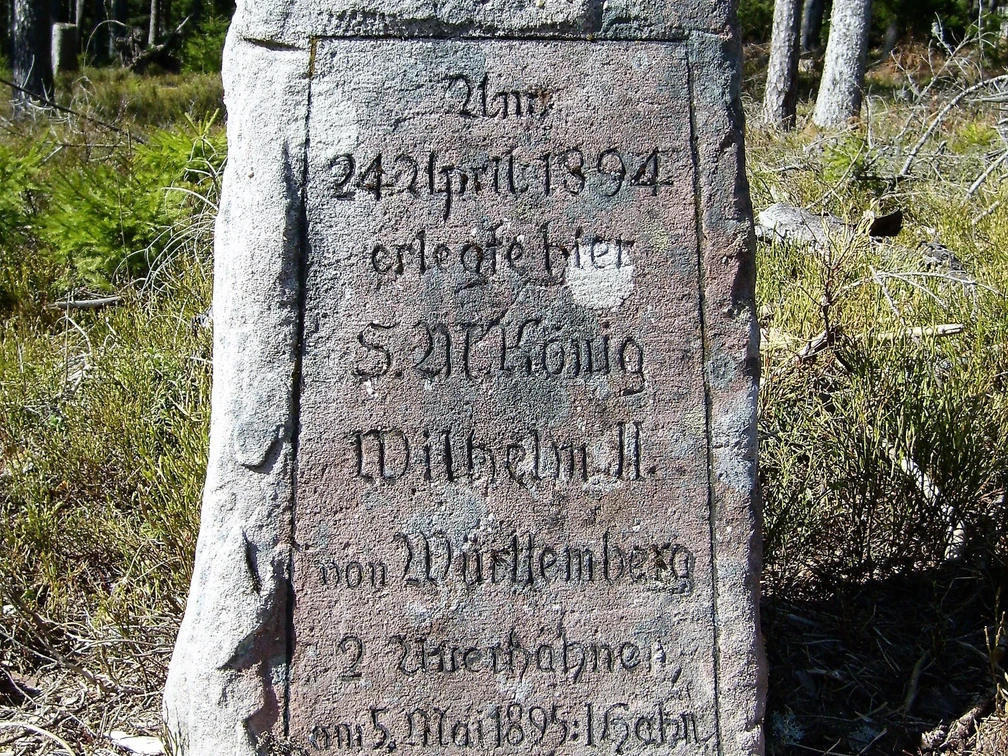 Auerhahnstein in Baiersbronn