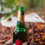 Pilz oder Pils?