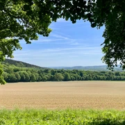 Ausblick Hube_Verlängerund Eichendorfallee (4).jpg