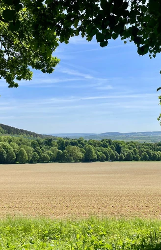 Ausblick Hube_Verlängerund Eichendorfallee (4).jpg