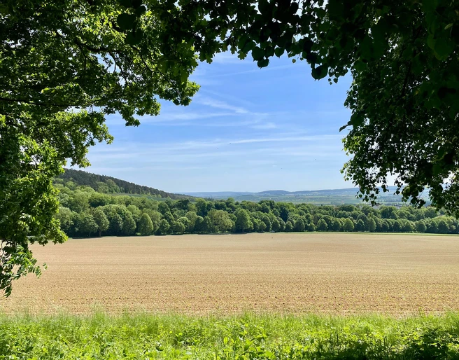 Ausblick Hube_Verlängerund Eichendorfallee (4).jpg