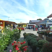 Wochenmarkt in Wahnbek Blumenmarkt mit farbenfroher Auswahl an der frischen Luft, Menschen genießen sonniges Wetter.