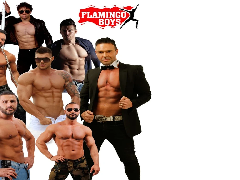 Flamingo Boys_Galerie.jpg Die Flamingo Boys
