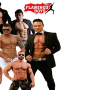Flamingo Boys_Galerie.jpg Die Flamingo Boys