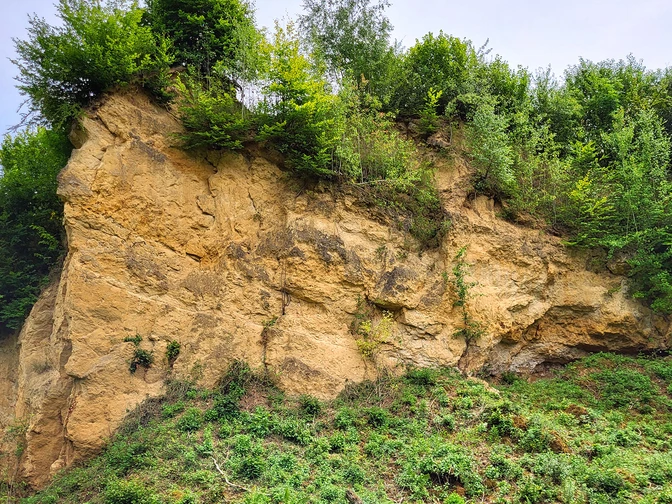 Steiler Hang aus Sandstein in natürlicher Umgebung, bewachsen mit Bäumen und Sträuchern oben.