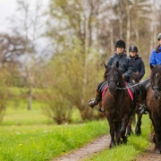 stockhornhof-reiten-pferde-gruppe-feldweg.jpg