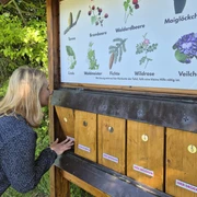 Natur-Erlebnis-Weg Iba Ostflügel