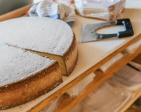 Landwirtschaft_Alp Schlacht_Sörenberg_Laila Bosco (35).jpg