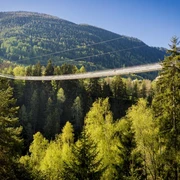 Goms-Bridge
